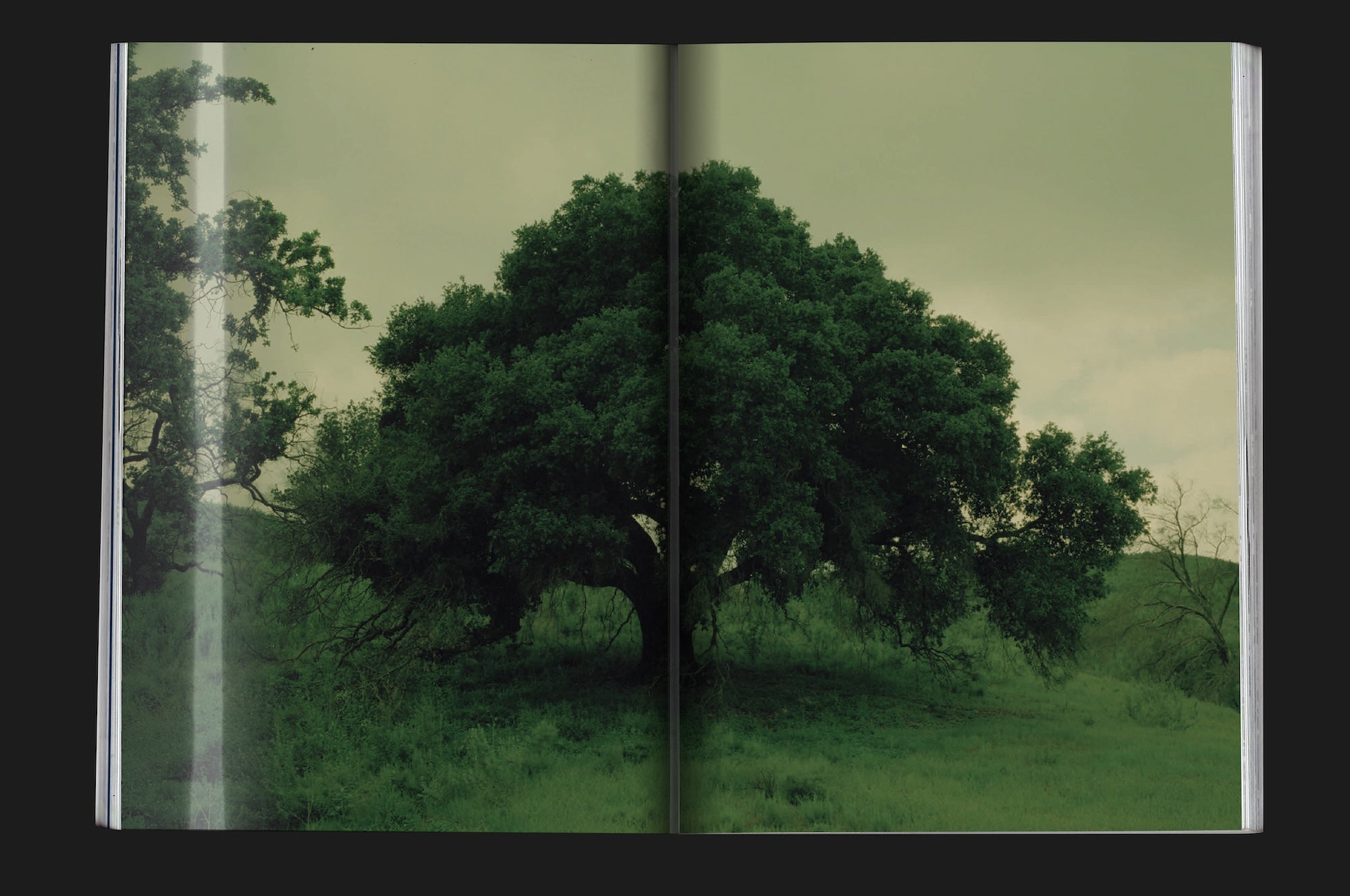 Chapter XIII – Colin King