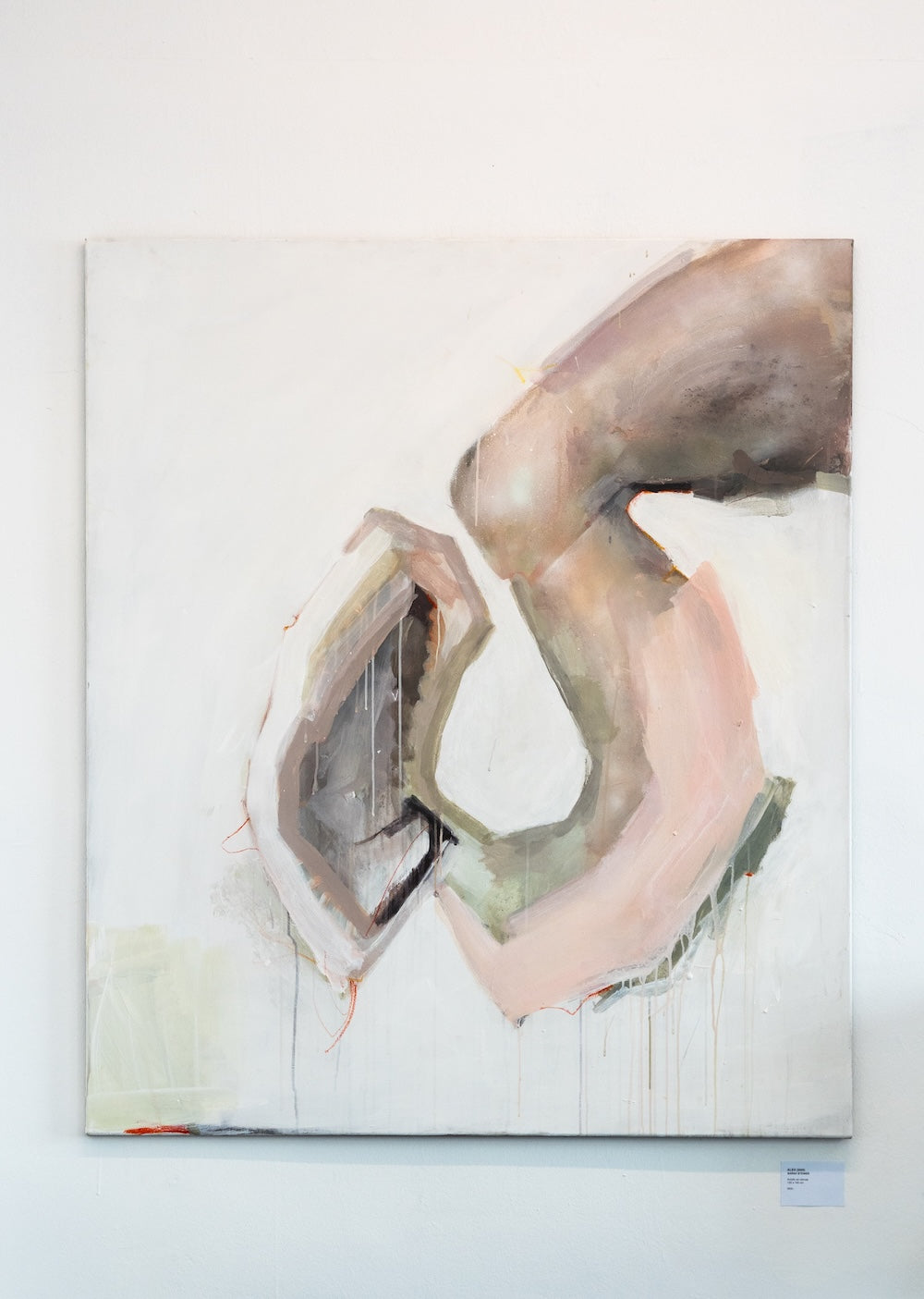 Sarah Steiner | ALEX, 2025