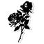uppers & downers logo